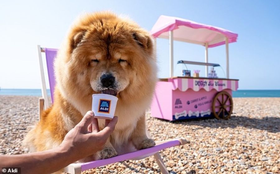 Pet Care Brands